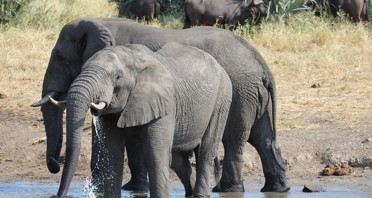 Foto Camera Principale