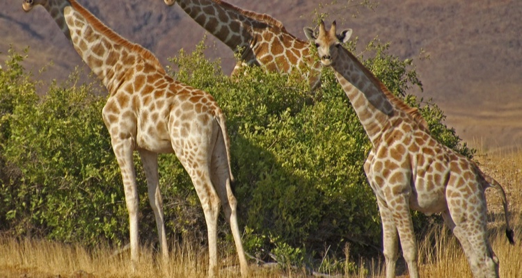 Foto Camera Principale