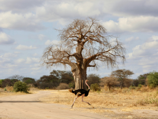 Foto Camera Principale