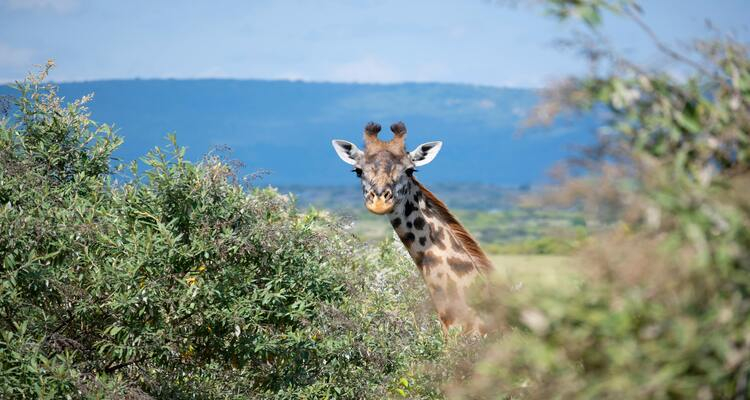 Foto Camera Principale