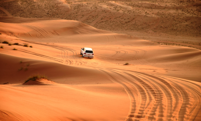 Discovery Oman