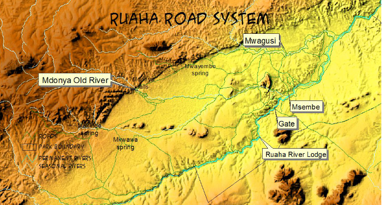 Foto Camera Principale