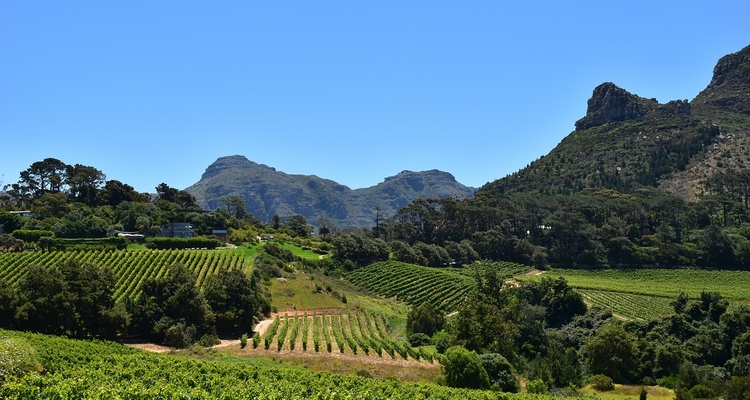 Foto Camera Principale