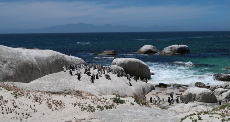 Foto Camera Principale