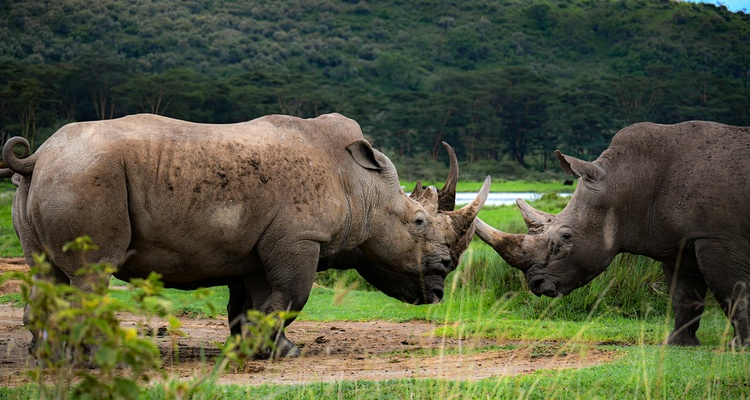 Foto Camera Principale